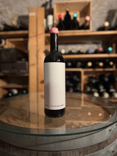 Langhe Pinot Nero