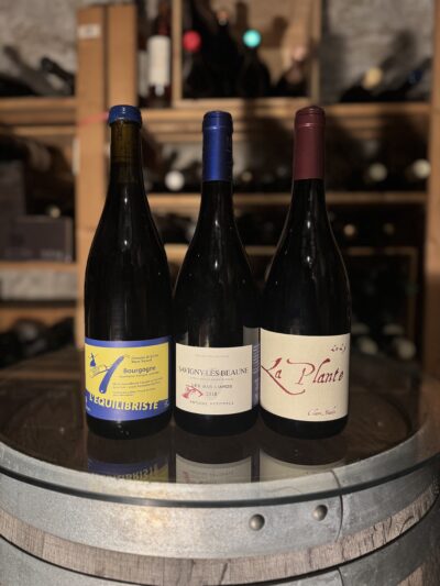 Box Natural Bourgogne Pinot Noir