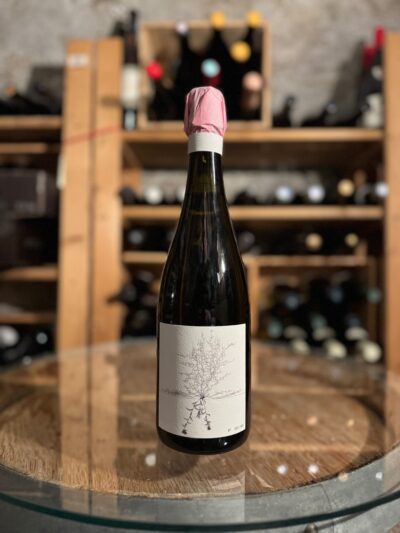 Blanc de Blancs - Johannes Aufricht