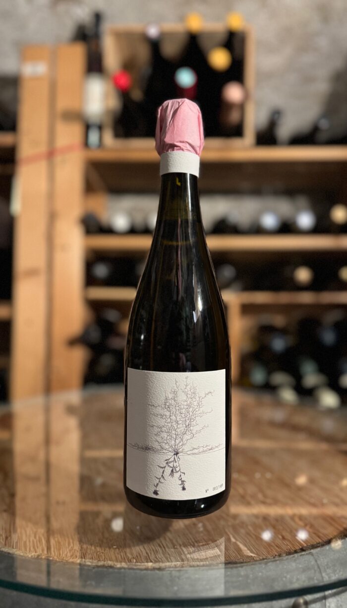Blanc de Blancs - Johannes Aufricht